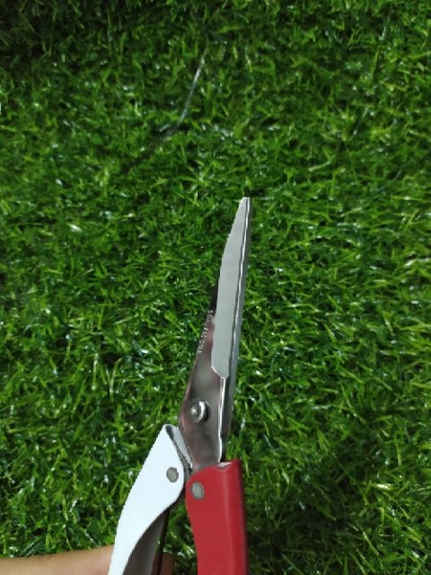 Kéo cắt que kem gỗ, tăm tre