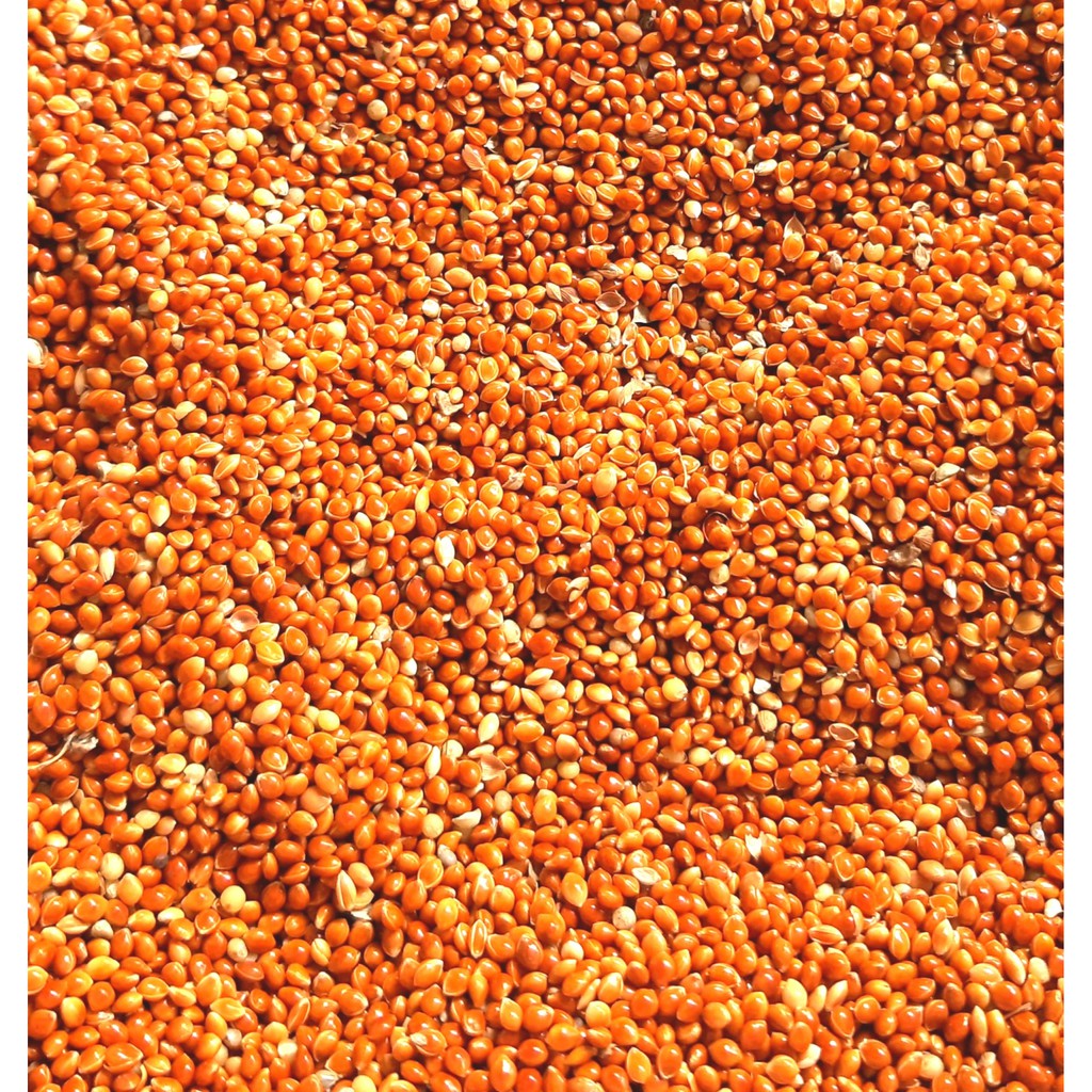 Kê đỏ bóng hạt lớn đóng gói 500g/1kg