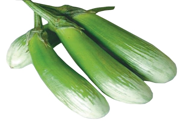 Hạt giống cà xanh sọc lem cà phổi gói 1gam giá rẻ