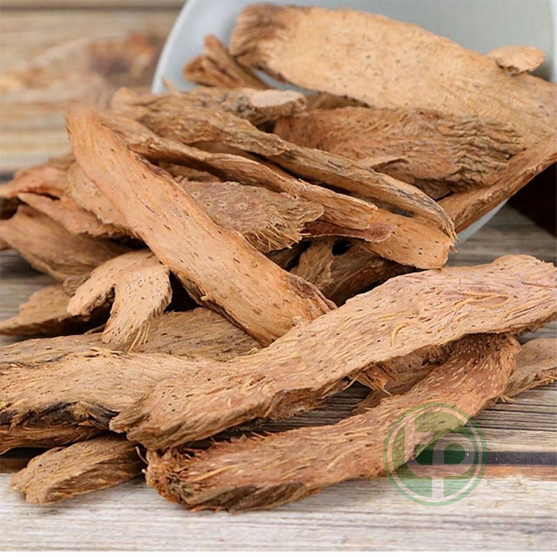 [Hàng mới về] Thiên niên kiện khô túi lớn 500gram - Tấn phát - Hỗ trợ cải thiện sức khoẻ