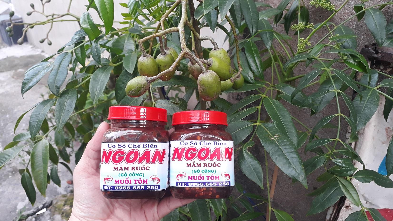Ngoan