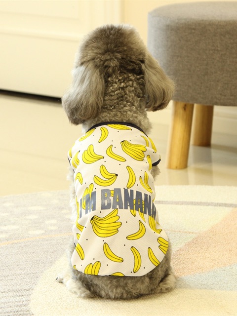 🍌🍌 T02 - ÁO TRÁI CHUỐI MÀU VÀNG 🍌🍌