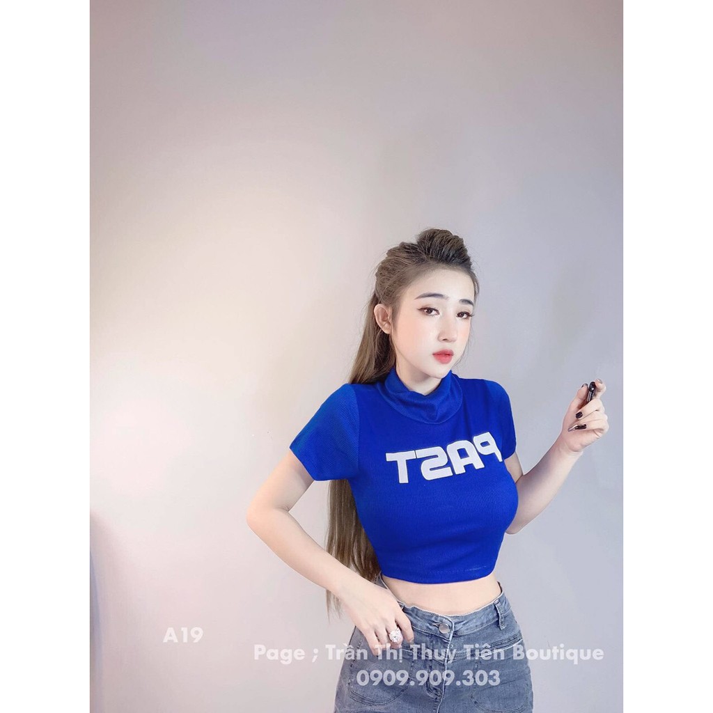 Áo Thun Lụa Croptop Tay Ngắn Cổ Trụ TTSA0130