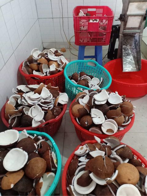 Dầu dừa bi lăn