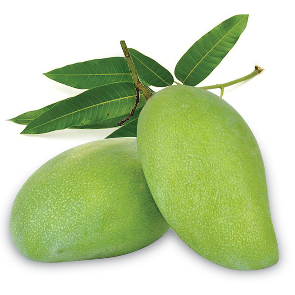 [EXPRESS DELIVERY IN HCMC] Keo Green Mango - 1kg