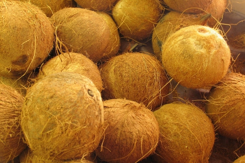 Dừa Khô Bến Tre - 850g - 1kg/trái
