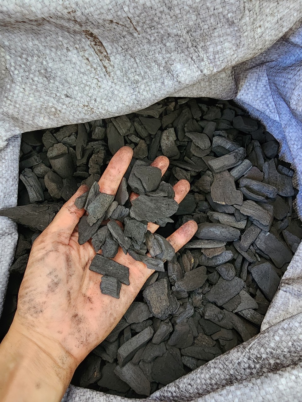 0.5 kg Than Củi Trồng Lan Đã Qua Xử Lý (nhiều kích thước)