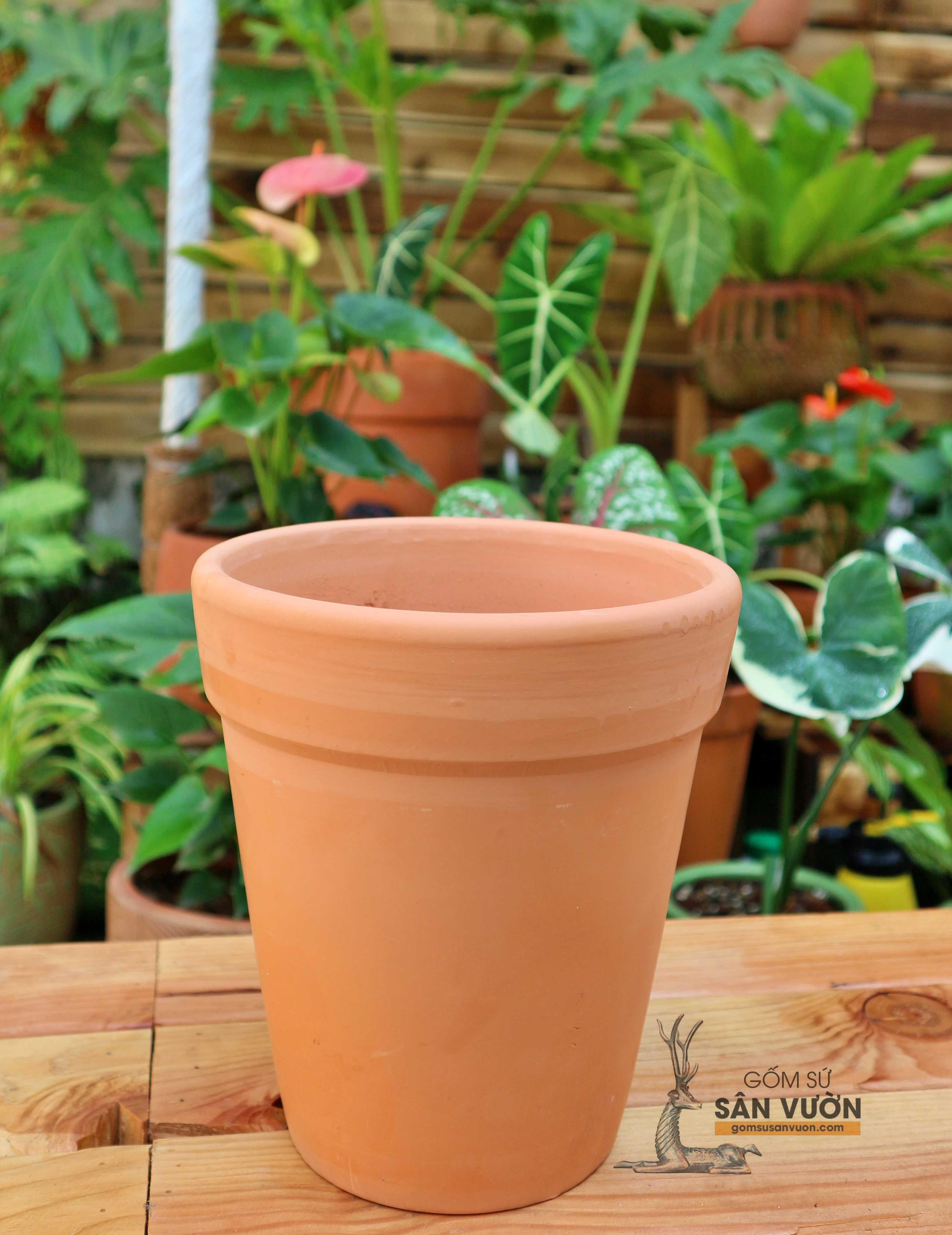 Chậu Gốm Đất Nung Ly Gờ Size 19 cm - Gốm Sứ Sân Vườn