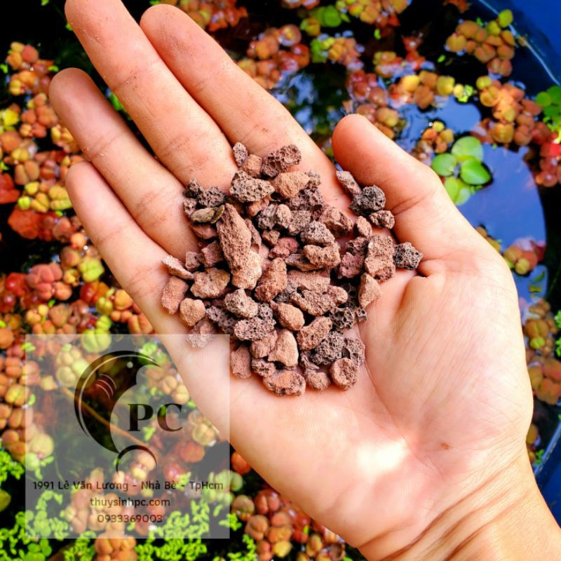 500g đá nham thạch đỏ trang trí và trải nền hồ cá