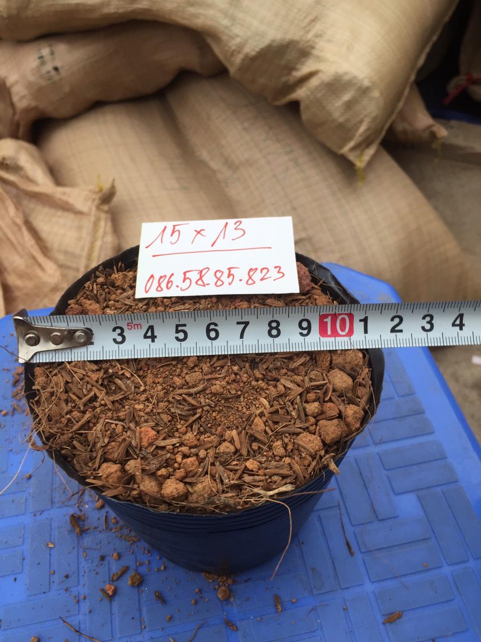 1kg túi bầu ươm cây (Bịch bầu cây) Cỡ 15x13