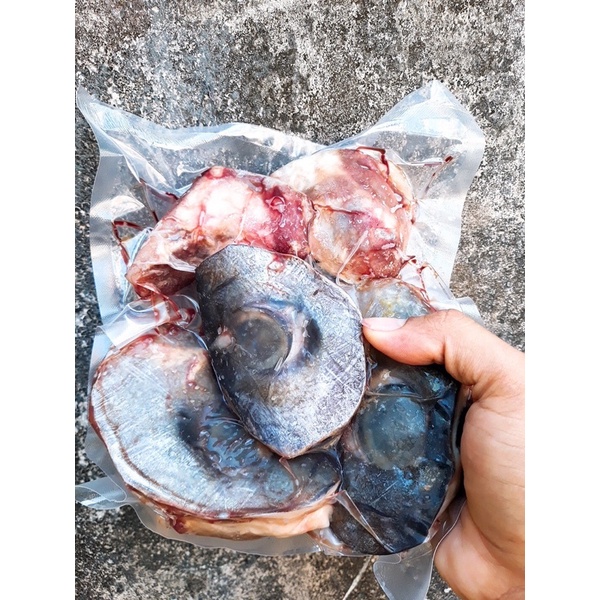 Mắt cá ngừ đại dương-Đèn pha đại dương 1kg
