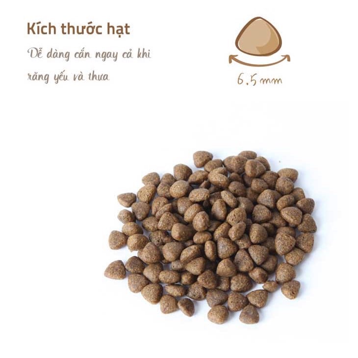 Hạt Hữu Cơ NATURAL CORE C1 BENE Cho Mèo Con 400G
