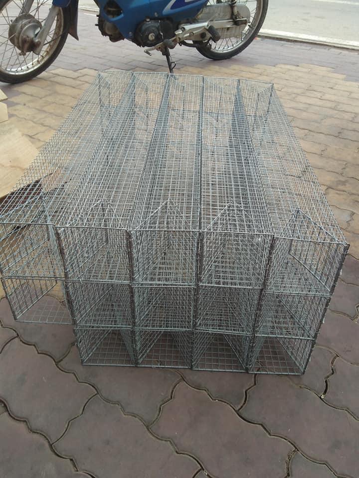 Lồng bẩy rắn 2 cửa vào 80 cm