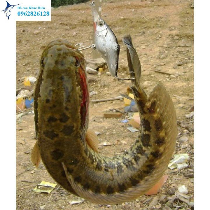 Cước câu cá nhện TARANTULA 500m cước câu cá nhện  (cam kết đổi trả trong 2 tuần đầu)
