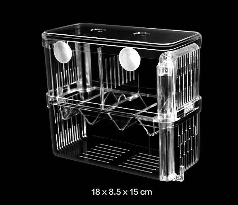 Bể cá mini, bể cho cá ấp trứng mini 2 ngăn