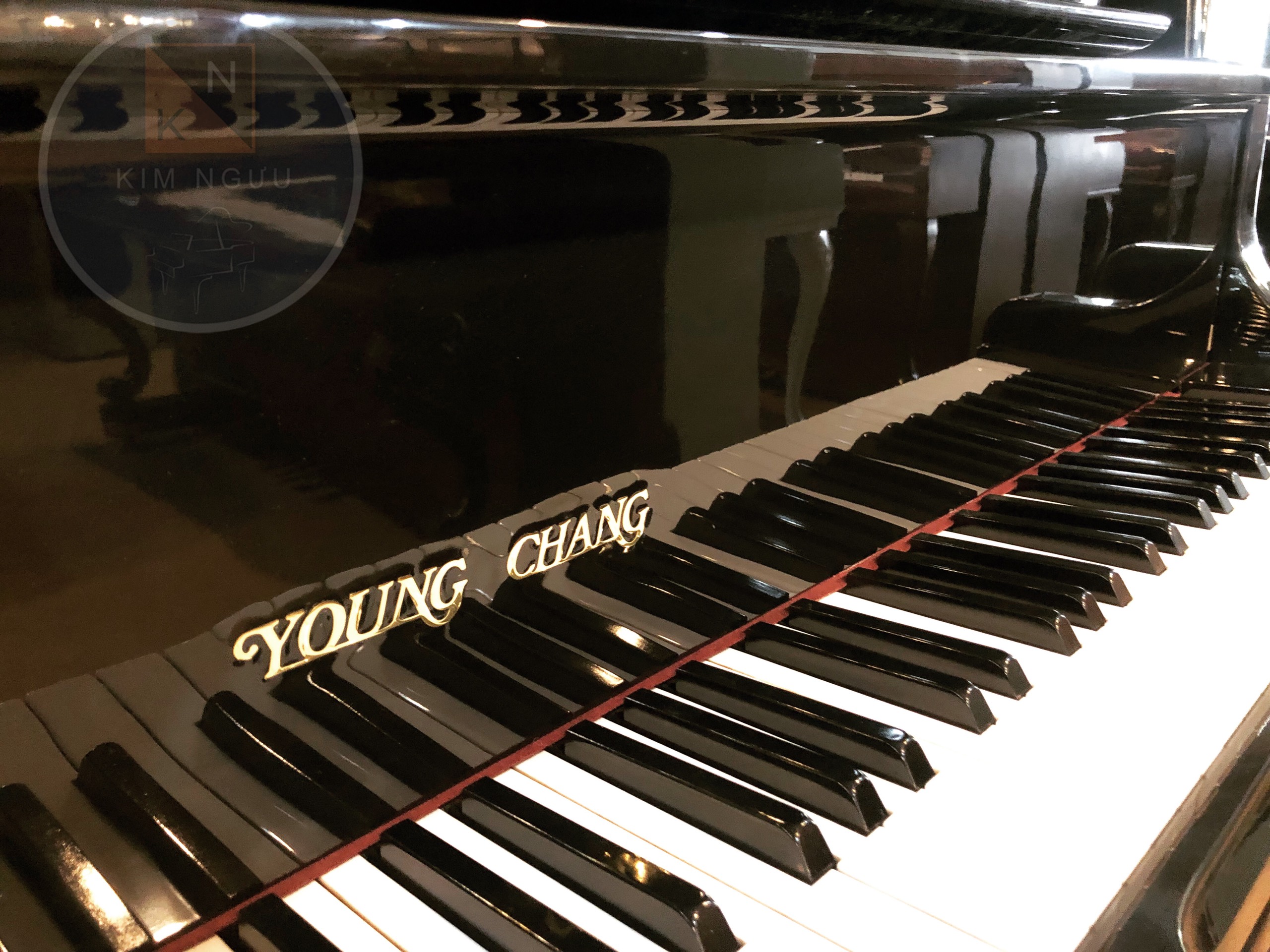 ĐÀN PIANO YOUNG CHANG U131
