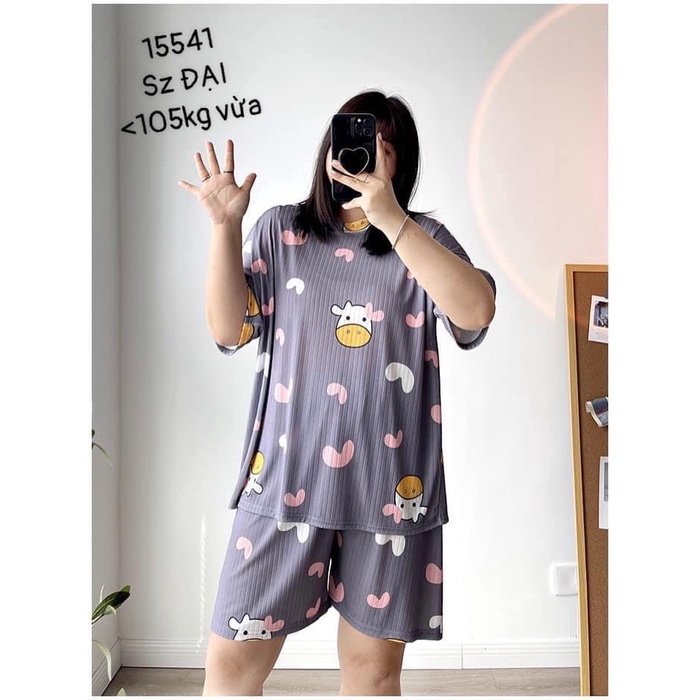 15541 đồ bộ short big size họa tiết cute tim ss-dai linhstyle