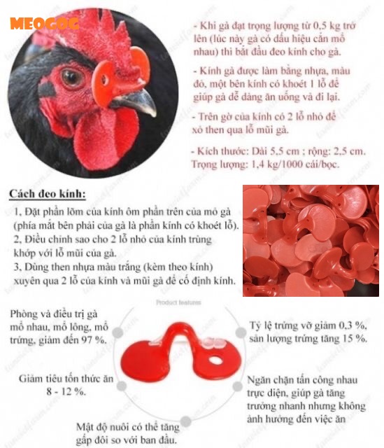 10 chiếc kính đeo mắt cho gà, chim trĩ MEOGOG