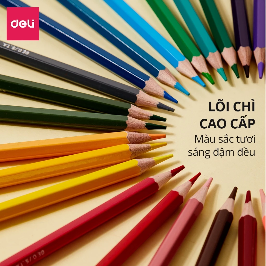 Bút Chì Màu Dạng Cốc Học Sinh Dễ Thương OnePiece Deli - C119