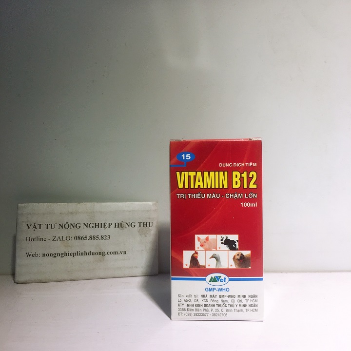 Vitamin B12 - Trị thiếu máu , chậm lớn (#becphunsuong, #phantrunque)