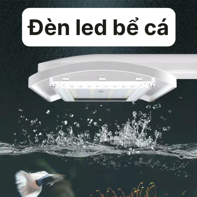 Đèn Jeneca dùng trong bể cá D13