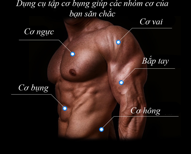 Con lăn tập bụng, Con lăn 4 bành tập cơ bụng cao cấp