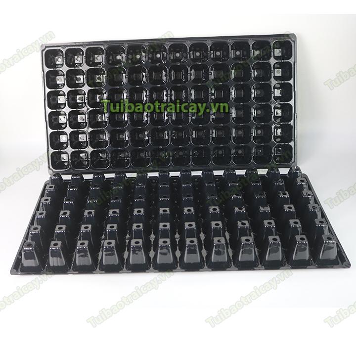 5 Khay ươm hạt giống 72 lỗ