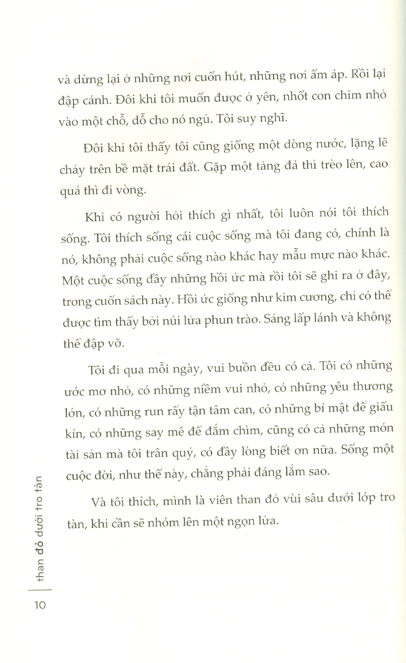 Than Đỏ Dưới Tro Tàn (Tản Văn)