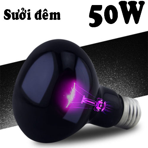 Đèn UVA sưởi đêm cho bò sát thương hiệu nomoy