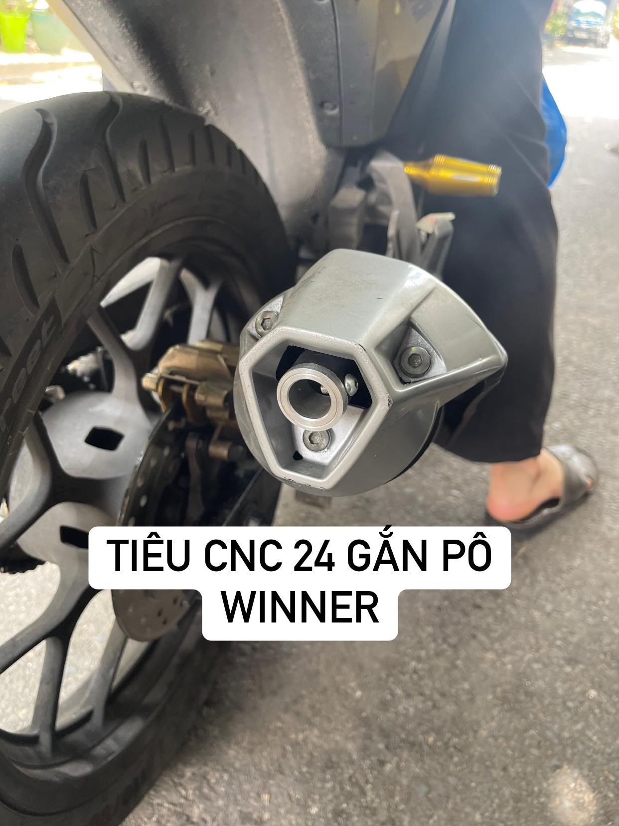 [HCM]TIÊU GẮN PÔ ORBR VÀ CBR