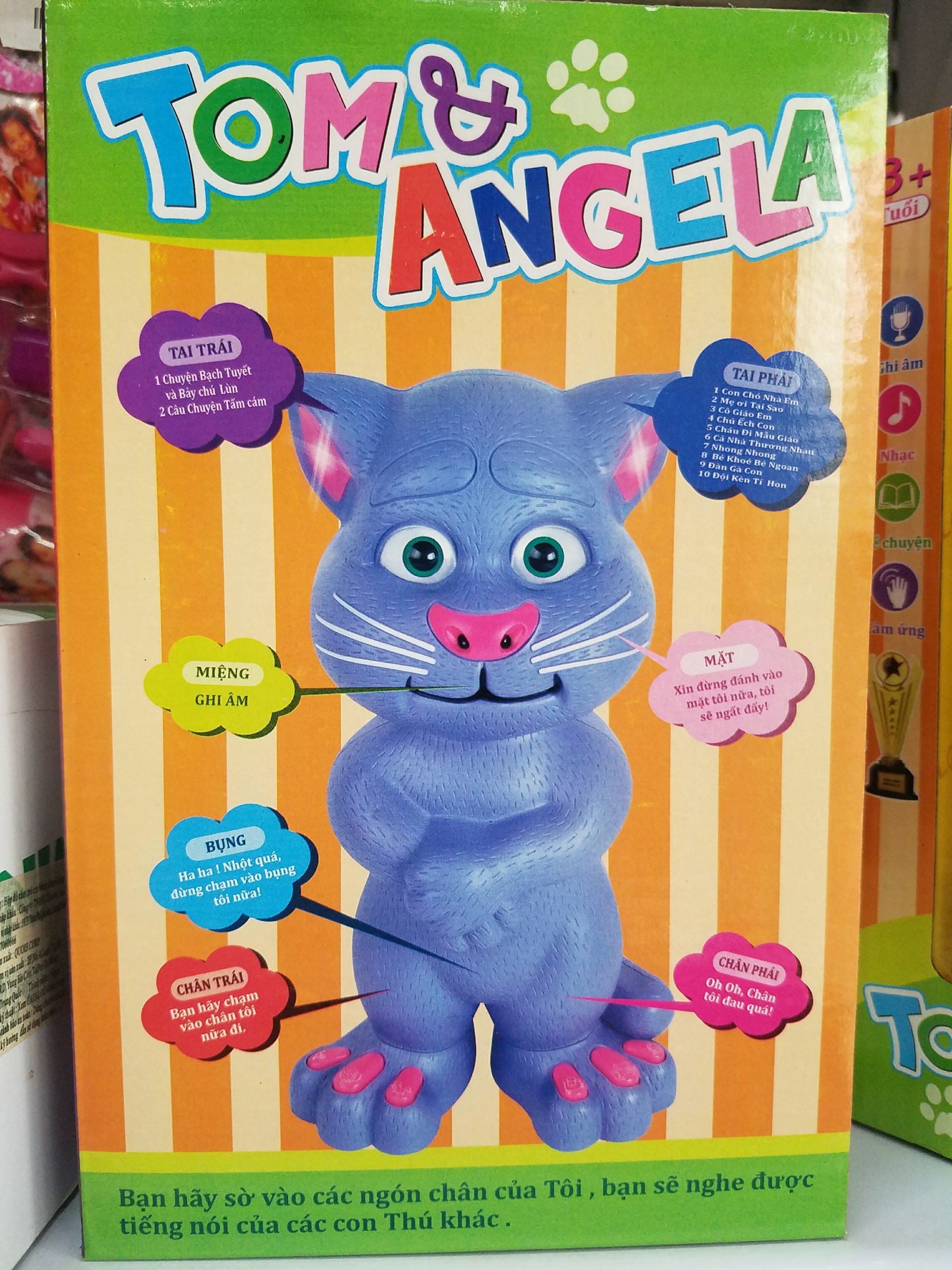 MÈO TOM ĐA NĂNG BIẾT NÓI TIẾNG NGƯỜI