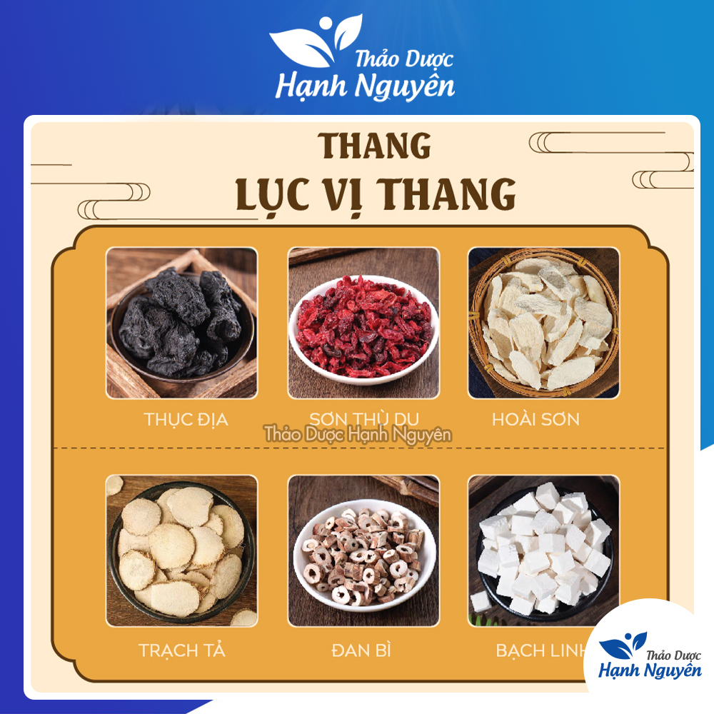 Thang lục vị, tư âm bổ thận, tốt cho cả nam và nữ - Thảo Dược Hạnh Nguyên