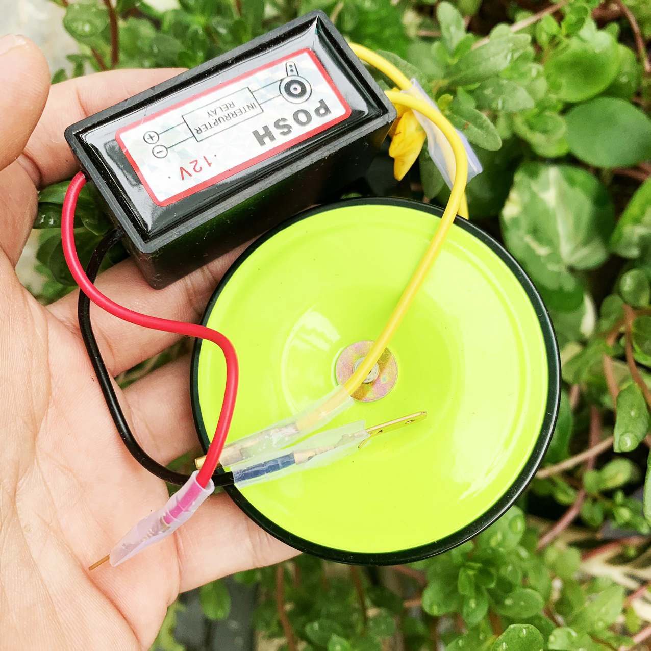 Nhại còi Posh Và Còi ATE dạ quang DC 12v [ combo 2 món]