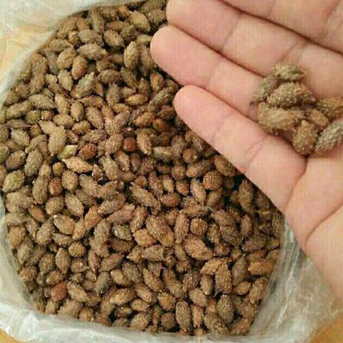 Ké đầu ngựa khô - 1kg