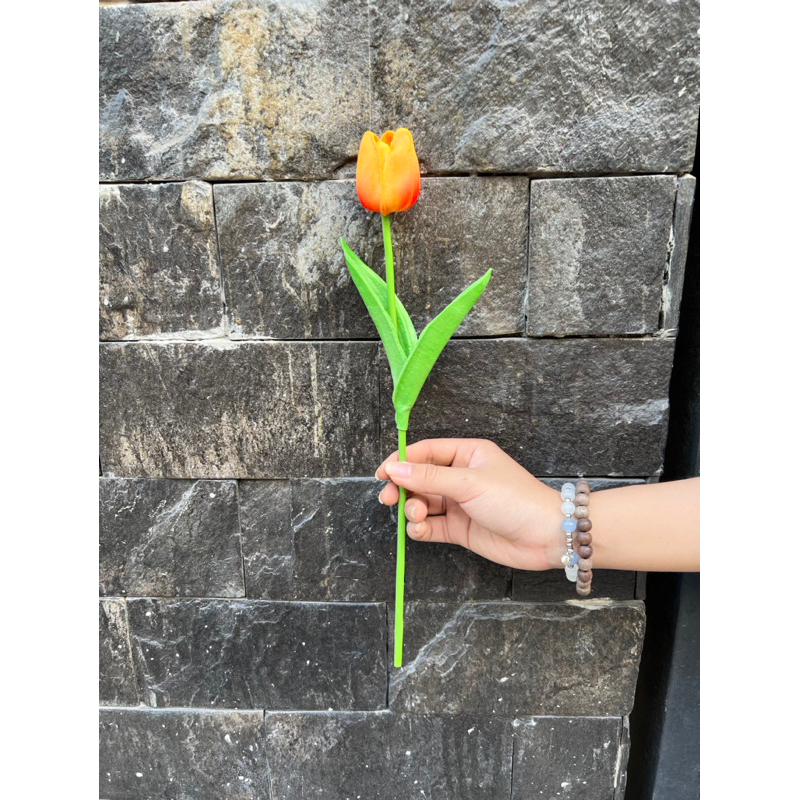 HOA TULIP cao su non mini
