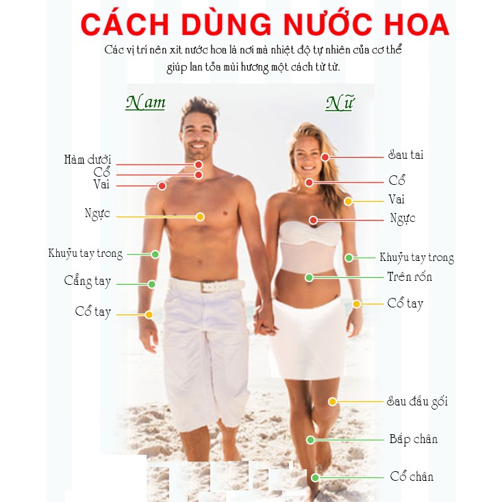 Nước hoa Active Bravely Nâu For Men 100ml