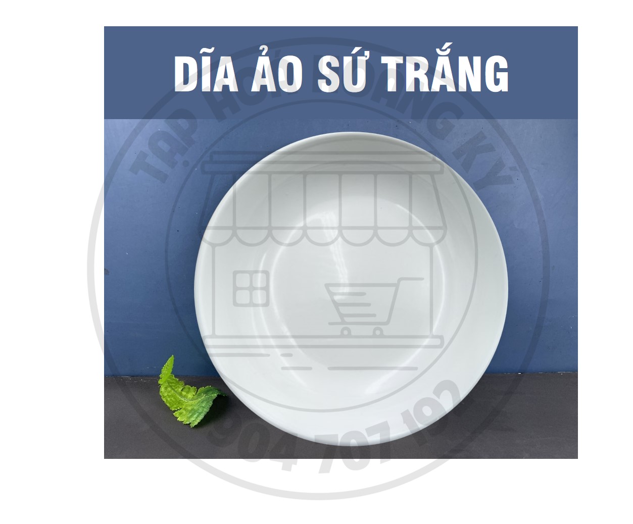 DĨA TRÒN ẢO SỨ TRẮNG – ĐỦ SIZE (CỠ 6,7,8,9)