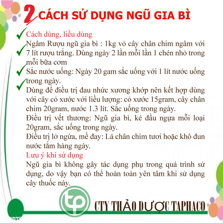 Vỏ ngũ gia bì khô 100g - Tấn Phát
