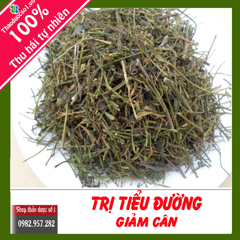 Giảo Cổ Lam [500g]