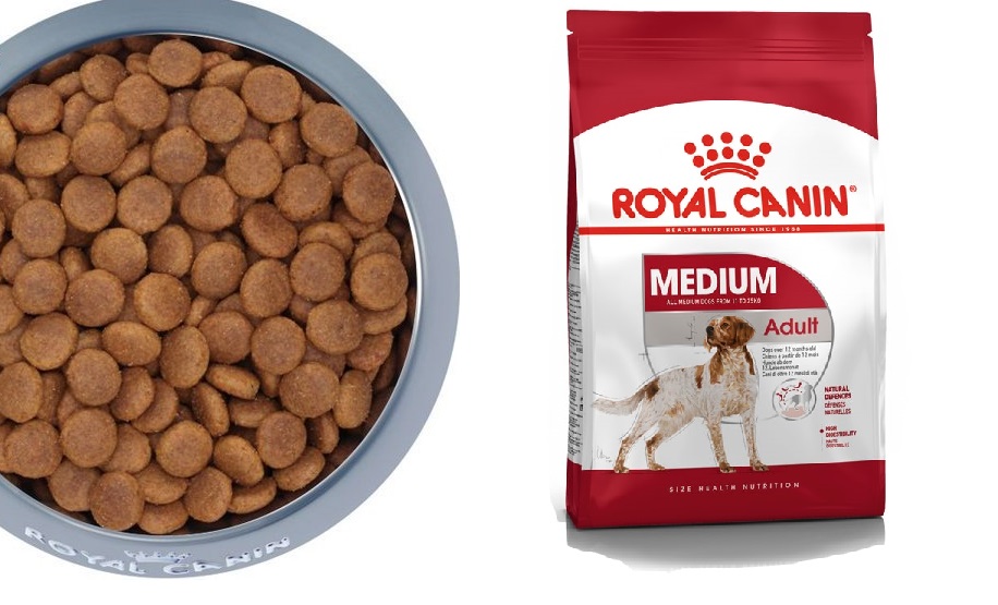 Hạt khô Royal Canin Medium Puppy/Adult 10kg