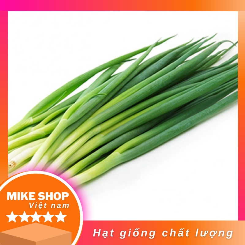 hạt giống hành lá