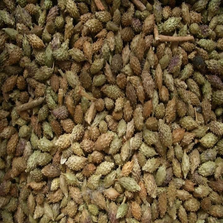Quả ké đầu ngựa 1kg