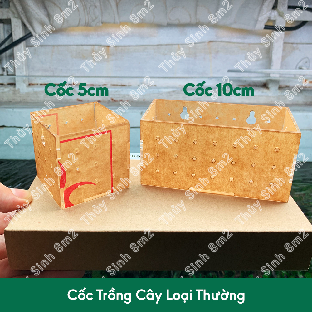 (Nhiều Mẫu) Cốc Trồng Cây Thủy Sinh Acrylic - 8m2