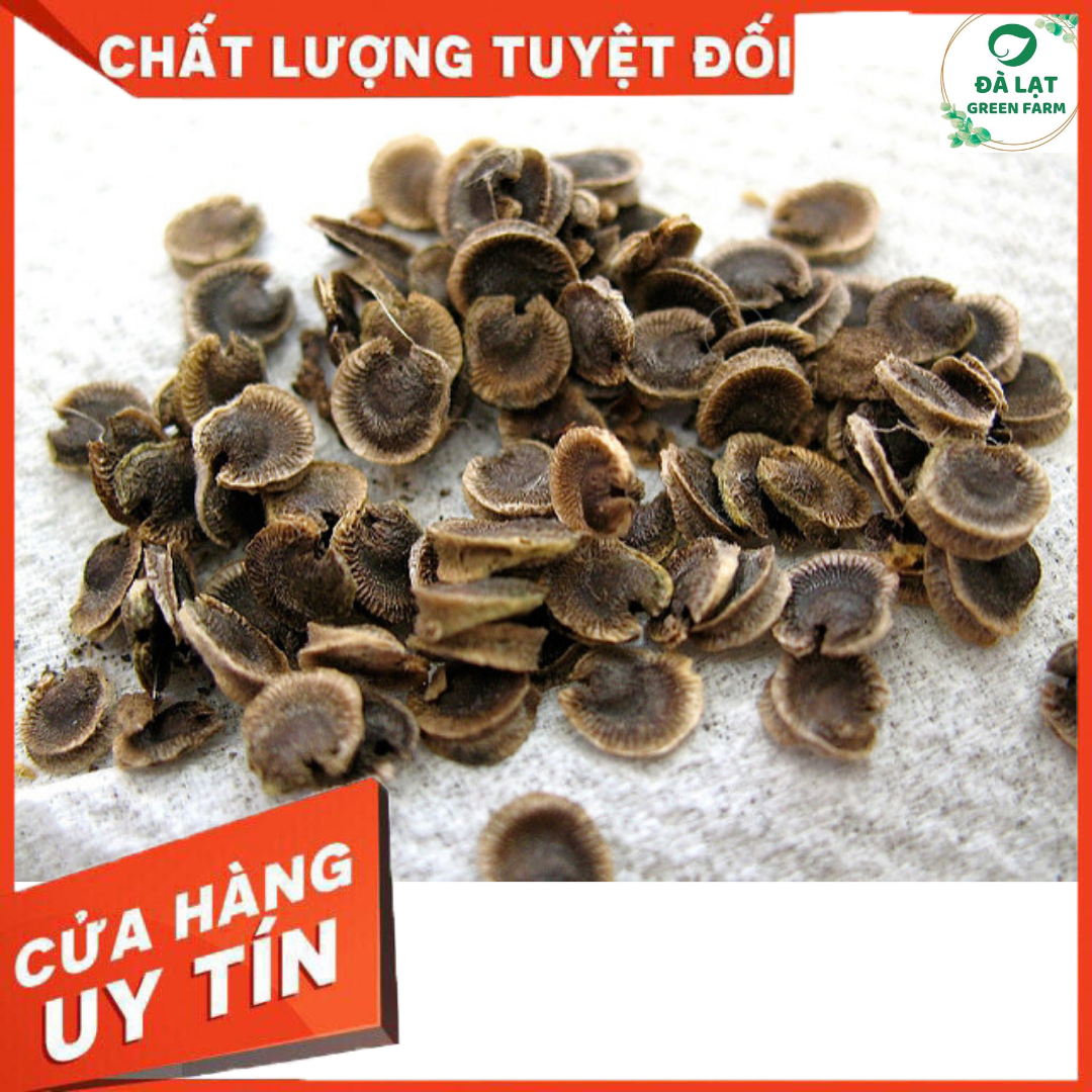 40H_HẠT GIỐNG HOA MÃN ĐÌNH HỒNG (SIÊU BÔNG, BÔNG TO, THẮM)
