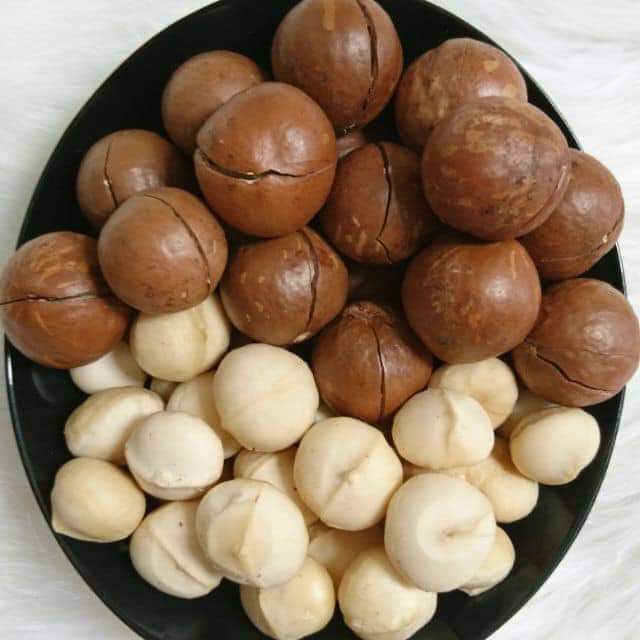 1kg Macca nứt vỏ ( Sản phẩm Ocop 3 sao) Diepphuong Farm