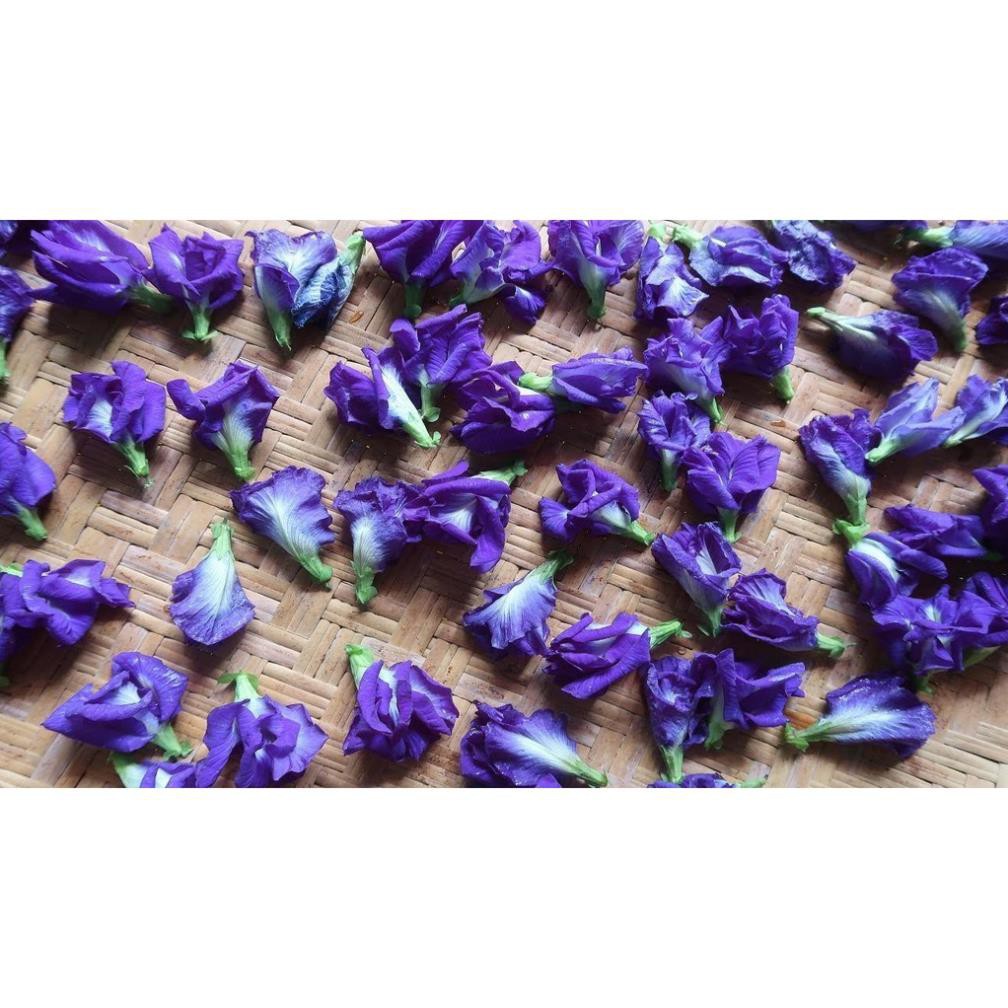 [HCM]Khu Vườn Hạt Giống Bông Biếc Butterfly Pea .