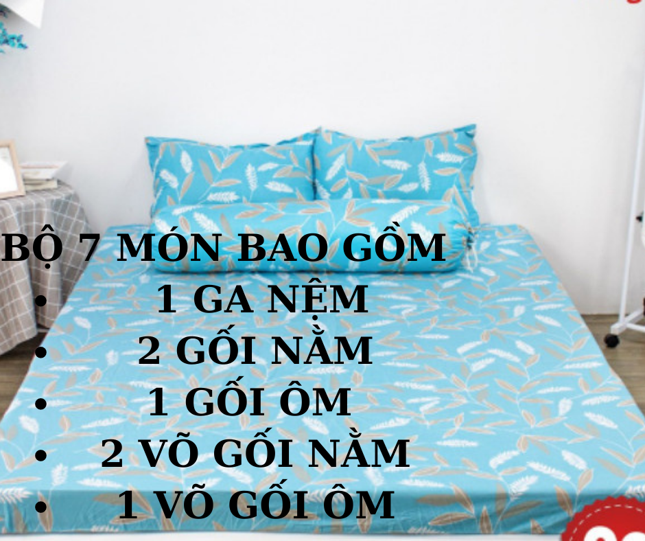 Nệm cao su non thắng lợi gấp 3 chính hãng _đủ size_dày 10cm