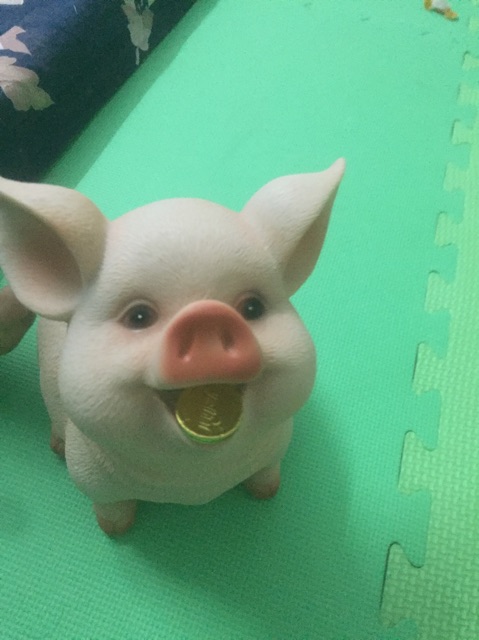Lợn đất siêu xinh và cute