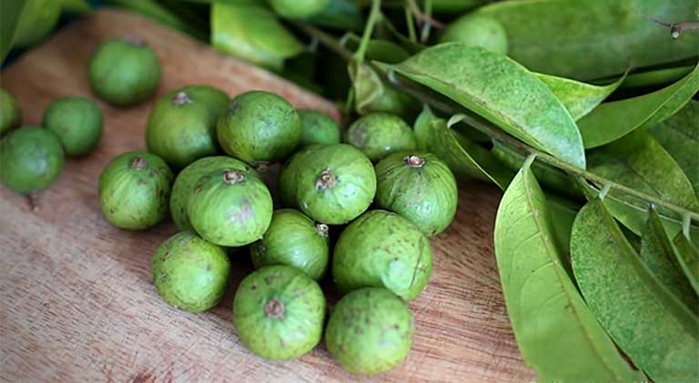 200 hạt sấu giống