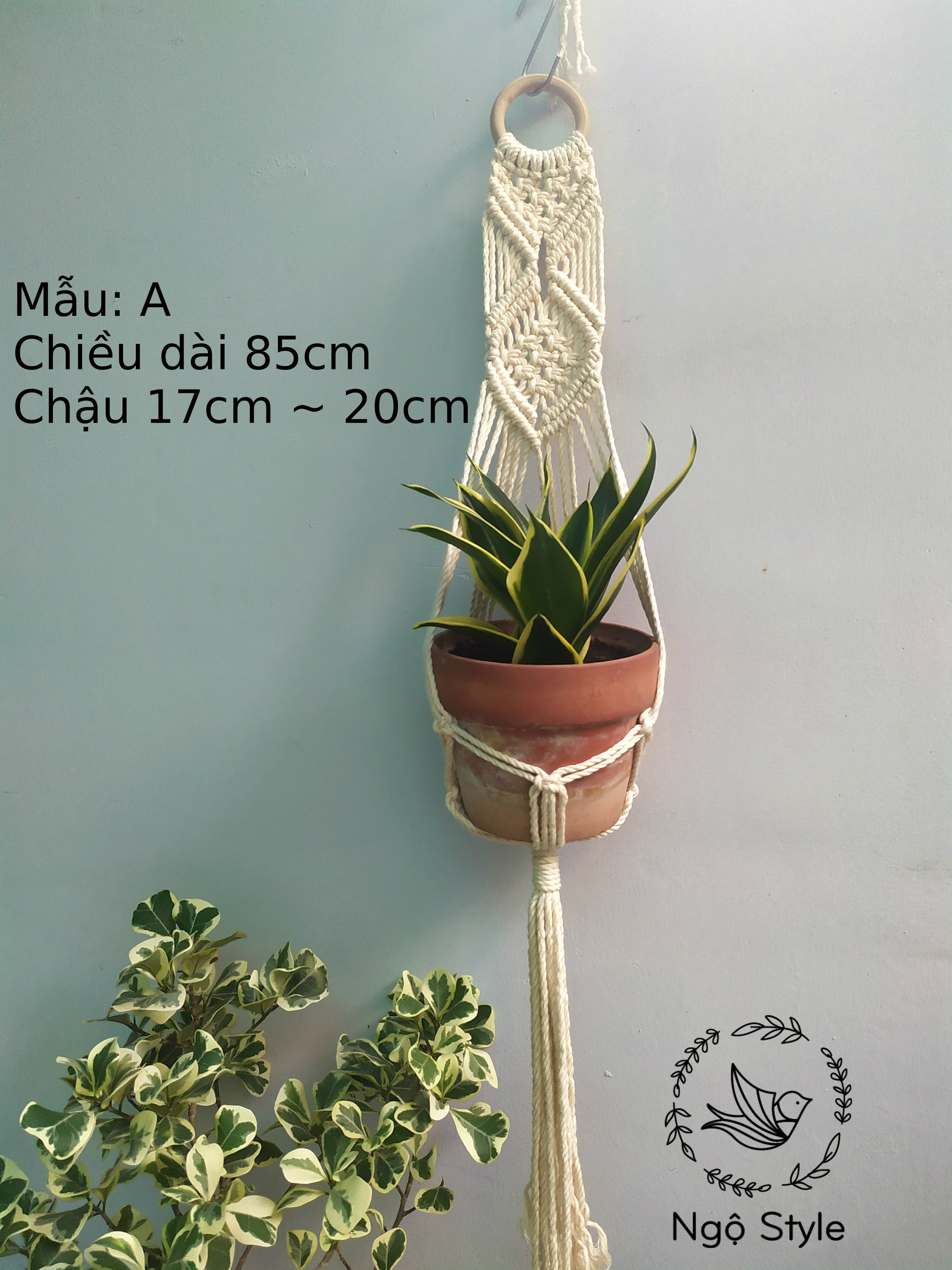 [HCM]Dây treo cây giỏ treo cây macrame rẻ đẹp